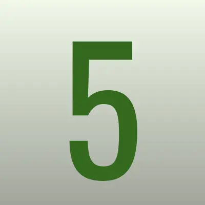 5 звезд, магазин, лого-визитка