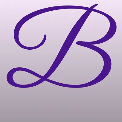 Балтийский Лизинг, лого-визитка
