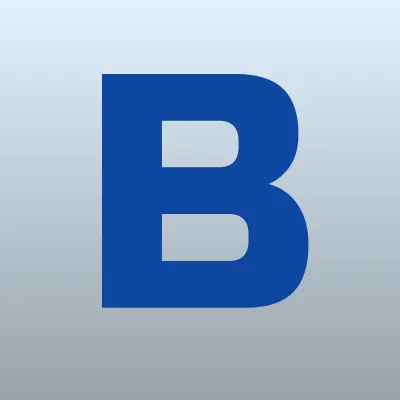 Белый Сервис, компания, лого-визитка